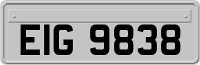 EIG9838