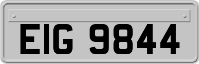EIG9844