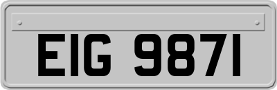 EIG9871