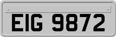 EIG9872