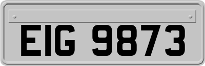 EIG9873