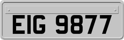 EIG9877