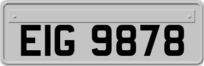 EIG9878