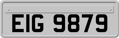EIG9879