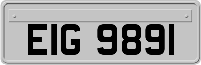 EIG9891