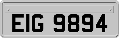 EIG9894