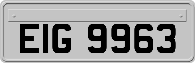 EIG9963