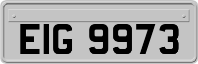 EIG9973
