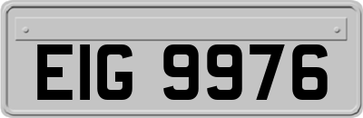 EIG9976