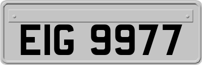 EIG9977
