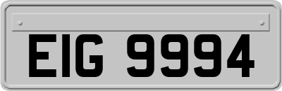 EIG9994