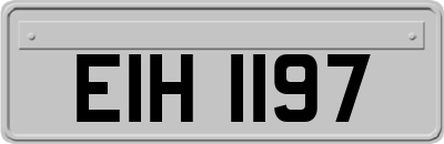 EIH1197