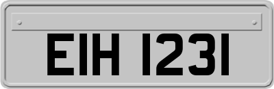 EIH1231