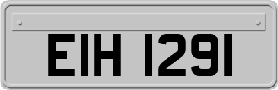 EIH1291
