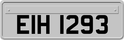 EIH1293