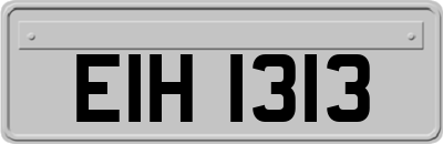 EIH1313