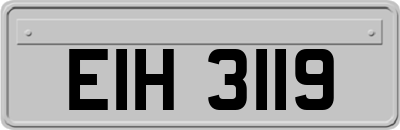 EIH3119