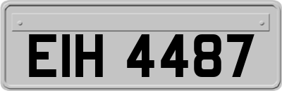 EIH4487