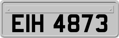 EIH4873