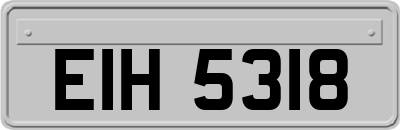 EIH5318