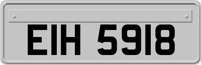 EIH5918