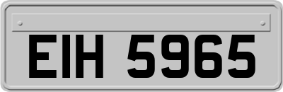 EIH5965