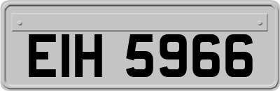 EIH5966