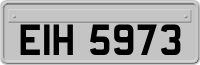 EIH5973