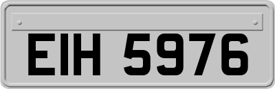 EIH5976