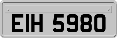 EIH5980
