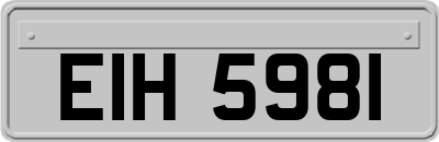 EIH5981