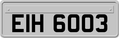 EIH6003