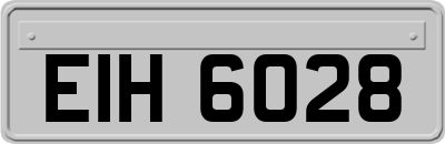 EIH6028