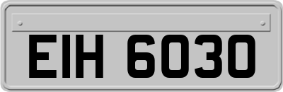 EIH6030