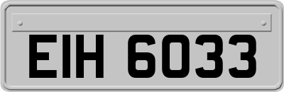 EIH6033