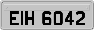 EIH6042