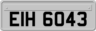 EIH6043