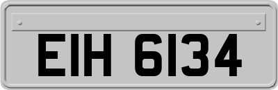 EIH6134