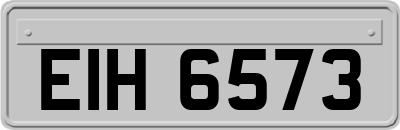 EIH6573