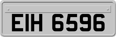 EIH6596