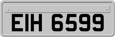 EIH6599