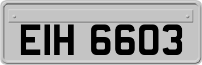 EIH6603