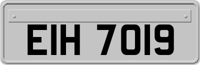 EIH7019