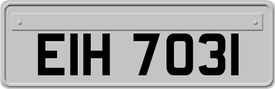 EIH7031