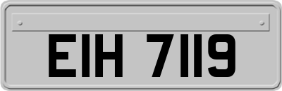 EIH7119