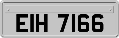 EIH7166
