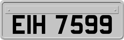 EIH7599