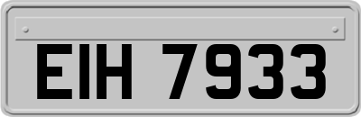 EIH7933