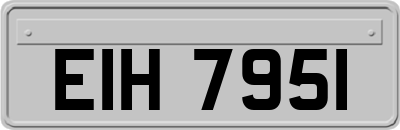 EIH7951