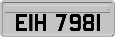 EIH7981